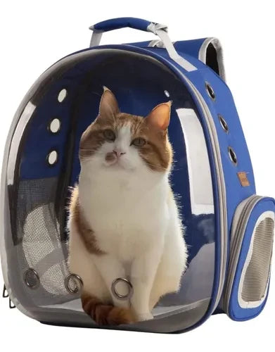 MALETA IDEAL PARA GATOS.