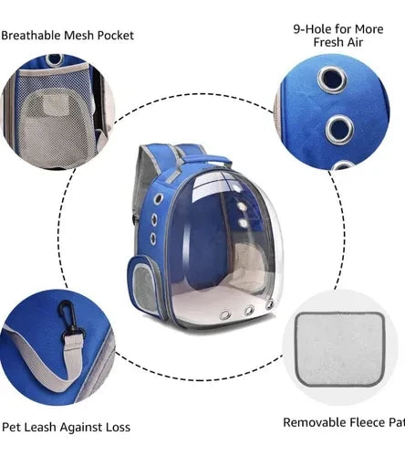 MALETA IDEAL PARA GATOS.